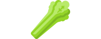 ▷ Selleriesamen Verkauf |【Uecologics】